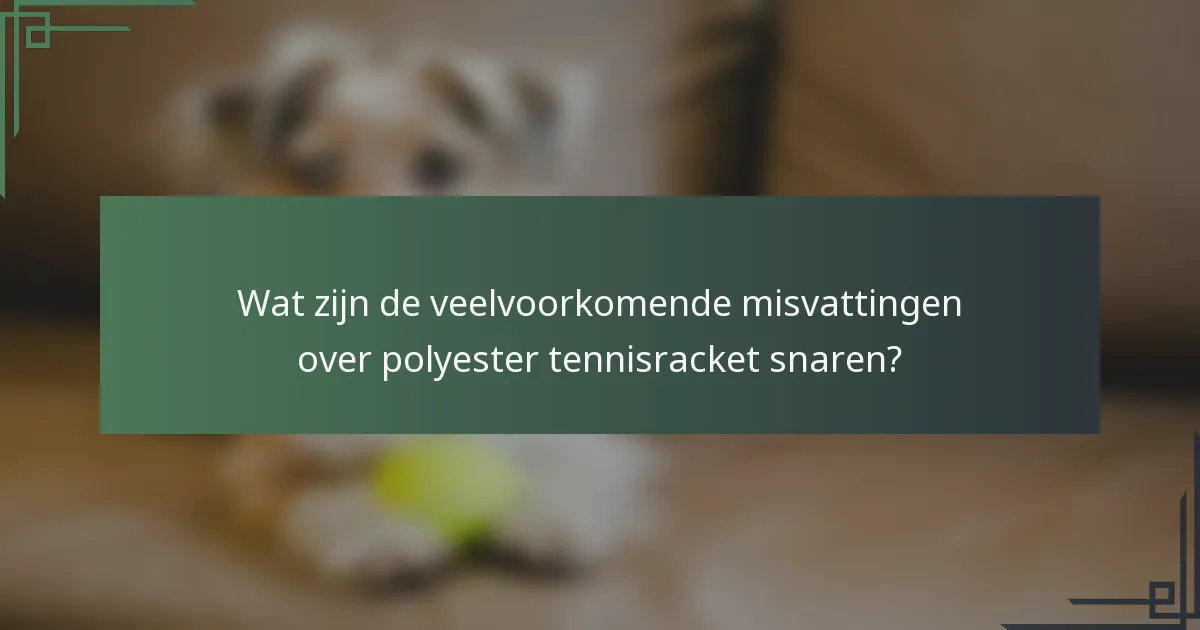 Wat zijn de veelvoorkomende misvattingen over polyester tennisracket snaren?