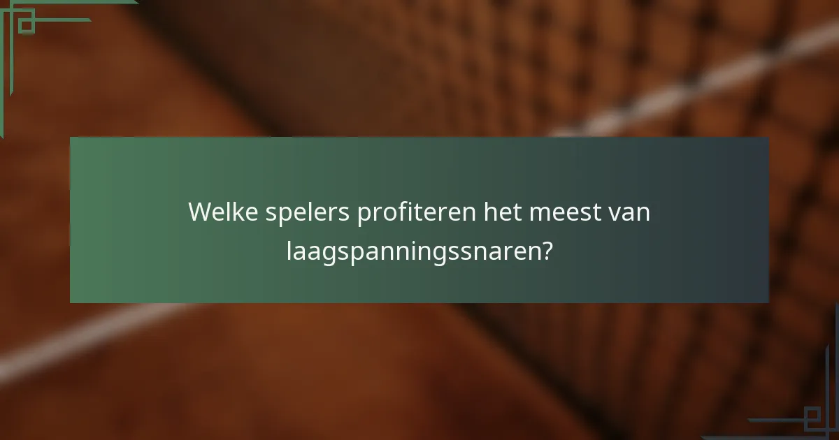 Welke spelers profiteren het meest van laagspanningssnaren?